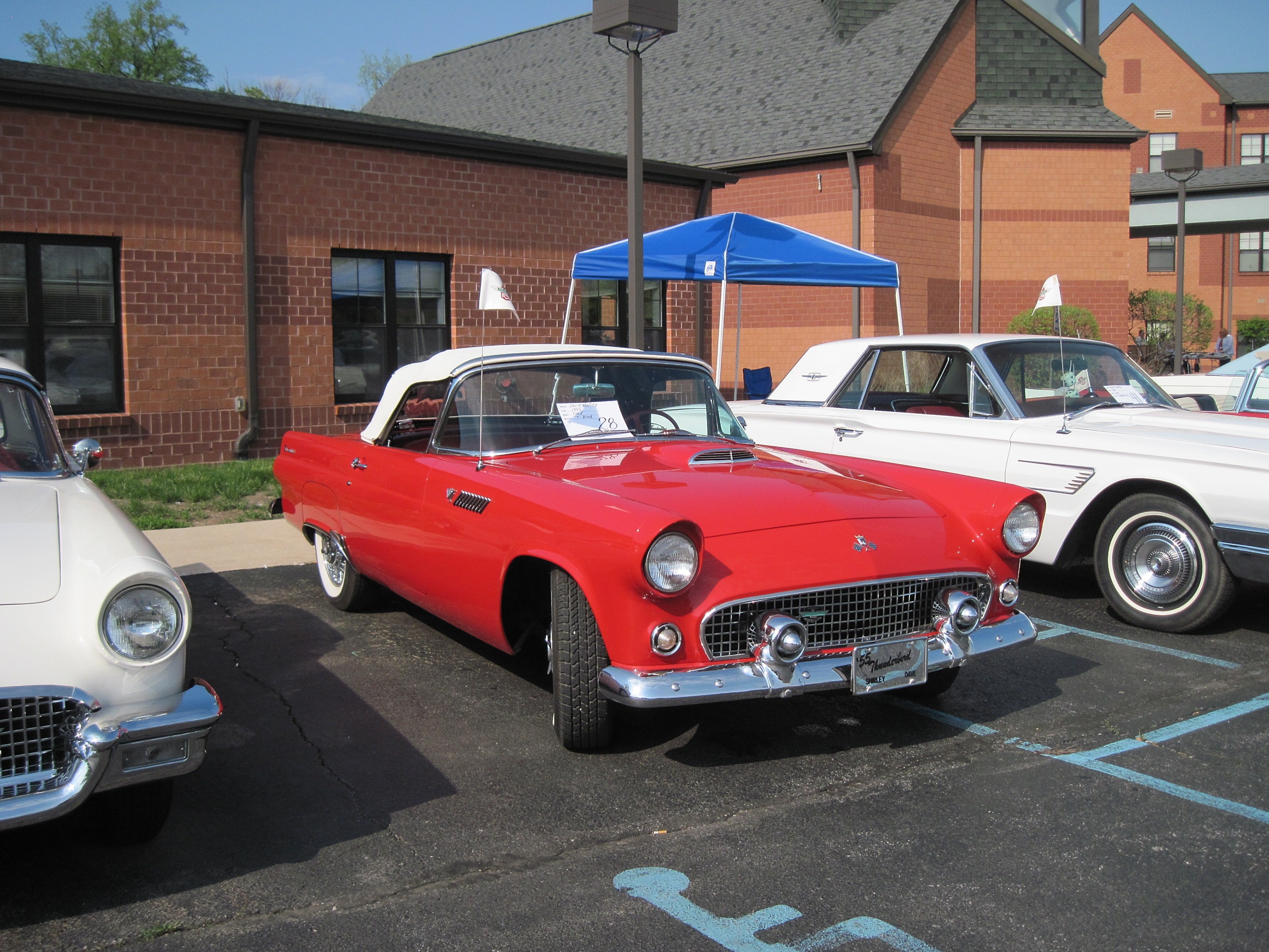 Thunderbird Show Photos – Maumee Valley Thunderbird Club